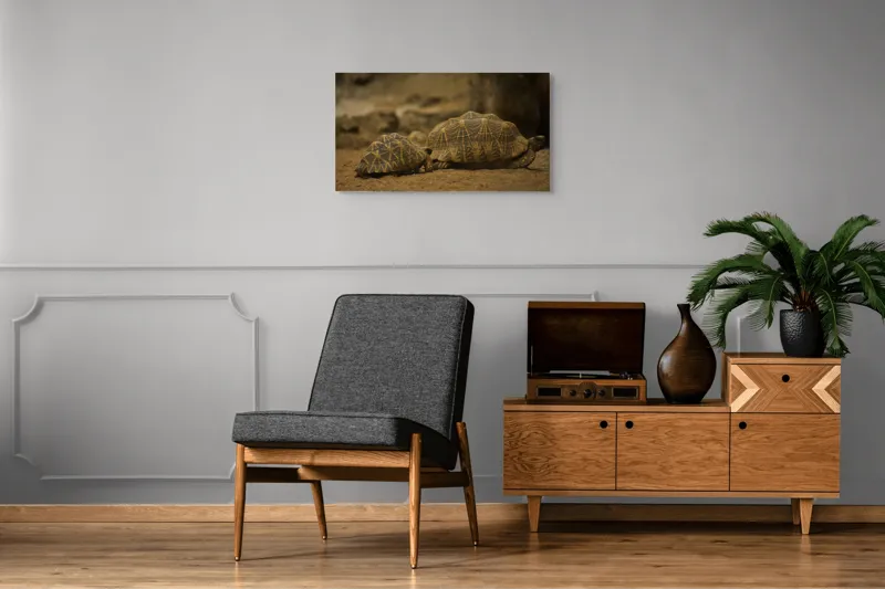 Tablou Canvas, "Țestoasele în căutarea soarelui", Țestoase, Nisip, Carapace, Model, Natură, Reptile, Tranquilitate, Pământiu, Detaliu., 90 x 50 cm – poza 6
