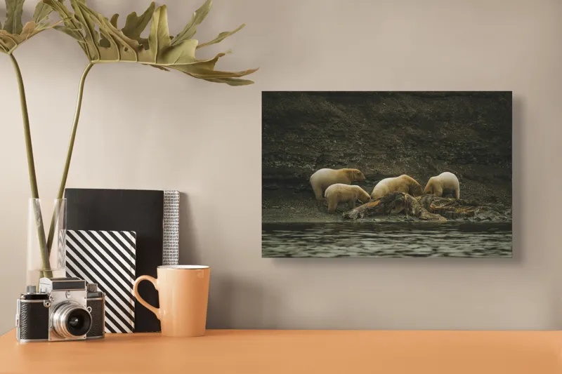 Tablou Canvas, "Urșii polari pe malul stâncos", Urs, Polari, Litoral, Apă, Stânci, Blană, Natură, Adăpost, Familie, Peisaj., 39 x 26 cm – poza 3