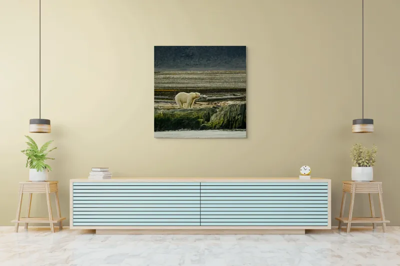 Tablou Canvas, "Urs polar pe țărmul arctic pustiu", Urs, Polar, Teren, Stânci, Natură, Nordic, Peisaj, Blană, Izolare, Sălbăticie, 100 x 100 cm – poza 5