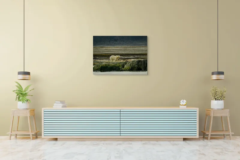 Tablou Canvas, "Urs polar pe țărmul arctic pustiu", Urs, Polar, Teren, Stânci, Natură, Nordic, Peisaj, Blană, Izolare, Sălbăticie, 100 x 70 cm – poza 4