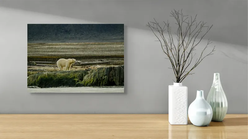 Tablou Canvas, "Urs polar pe țărmul arctic pustiu", Urs, Polar, Teren, Stânci, Natură, Nordic, Peisaj, Blană, Izolare, Sălbăticie, 54 x 39 cm – poza 3