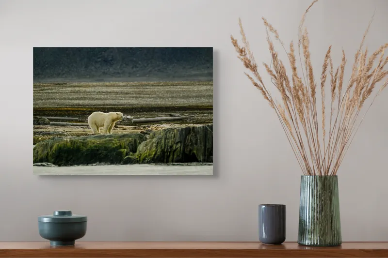 Tablou Canvas, "Urs polar pe țărmul arctic pustiu", Urs, Polar, Teren, Stânci, Natură, Nordic, Peisaj, Blană, Izolare, Sălbăticie, 54 x 39 cm – poza 4