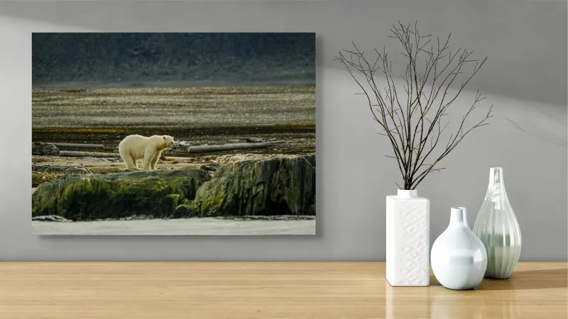 Tablou Canvas, "Urs polar pe țărmul arctic pustiu", Urs, Polar, Teren, Stânci, Natură, Nordic, Peisaj, Blană, Izolare, Sălbăticie, 70 x 50 cm – poza 3