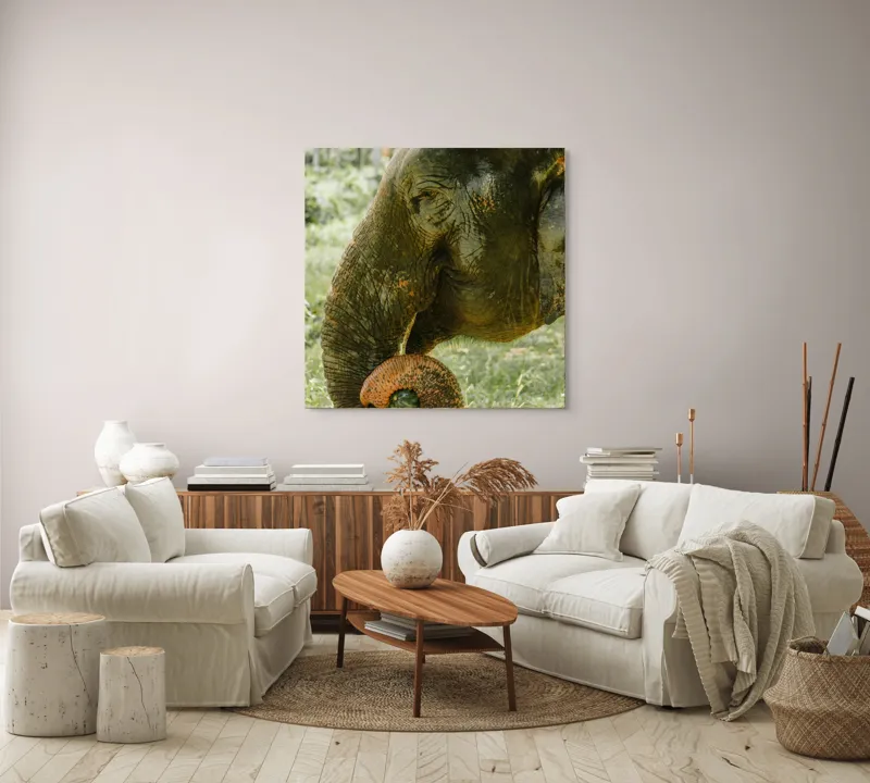 Tablou Canvas, "Elefantul în pădurea tropicală verde", Nu pot identifica cine este în imagine., 100 x 100 cm – poza 3