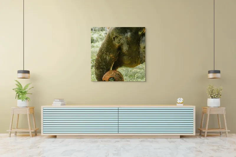 Tablou Canvas, "Elefantul în pădurea tropicală verde", Nu pot identifica cine este în imagine., 100 x 100 cm – poza 5