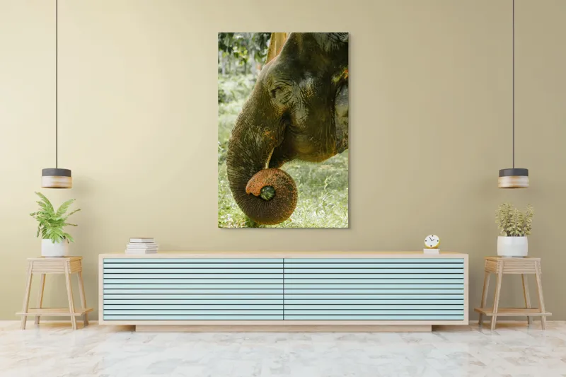 Tablou Canvas, "Elefantul în pădurea tropicală verde", Nu pot identifica cine este în imagine., 100 x 150 cm – poza 4