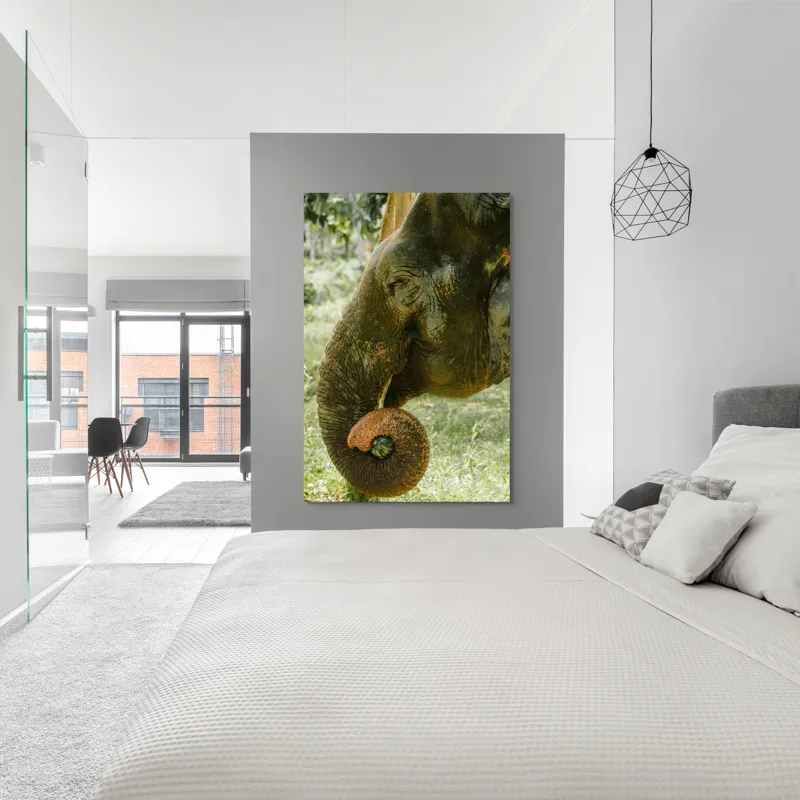 Tablou Canvas, "Elefantul în pădurea tropicală verde", Nu pot identifica cine este în imagine., 100 x 150 cm – poza 5