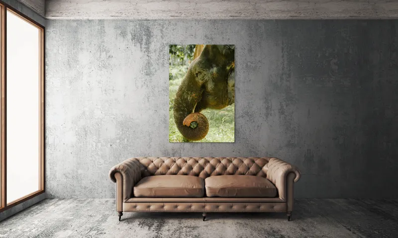 Tablou Canvas, "Elefantul în pădurea tropicală verde", Nu pot identifica cine este în imagine., 100 x 150 cm – poza 6