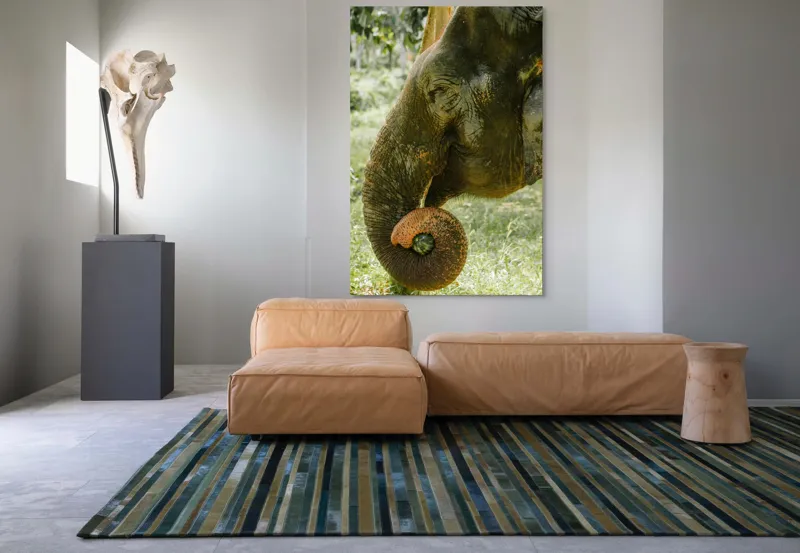 Tablou Canvas, "Elefantul în pădurea tropicală verde", Nu pot identifica cine este în imagine., 100 x 150 cm – poza 7