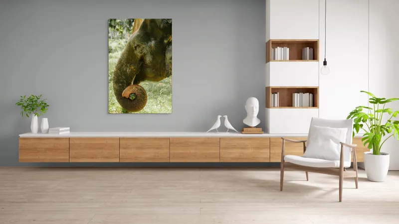 Tablou Canvas, "Elefantul în pădurea tropicală verde", Nu pot identifica cine este în imagine., 100 x 150 cm – poza 8