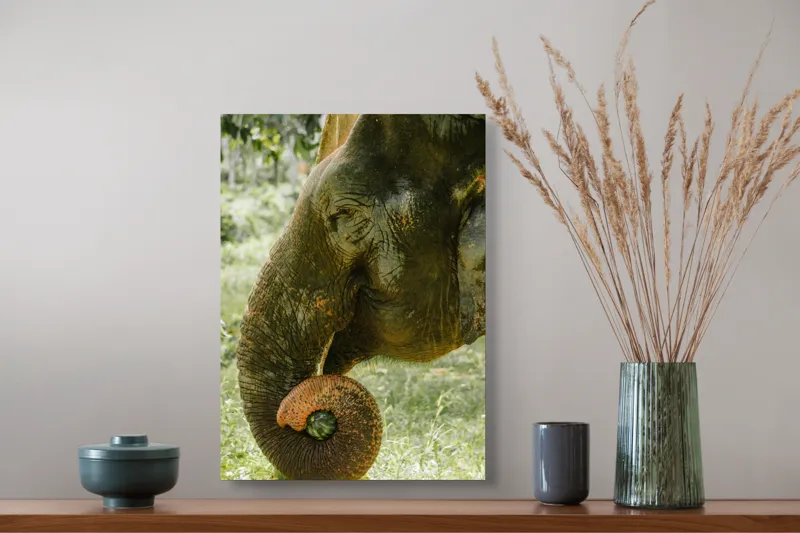Tablou Canvas, "Elefantul în pădurea tropicală verde", Nu pot identifica cine este în imagine., 39 x 54 cm – poza 3