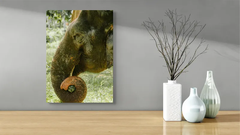 Tablou Canvas, "Elefantul în pădurea tropicală verde", Nu pot identifica cine este în imagine., 39 x 54 cm – poza 4