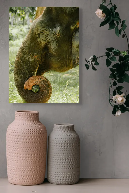 Tablou Canvas, "Elefantul în pădurea tropicală verde", Nu pot identifica cine este în imagine., 39 x 54 cm – poza 6