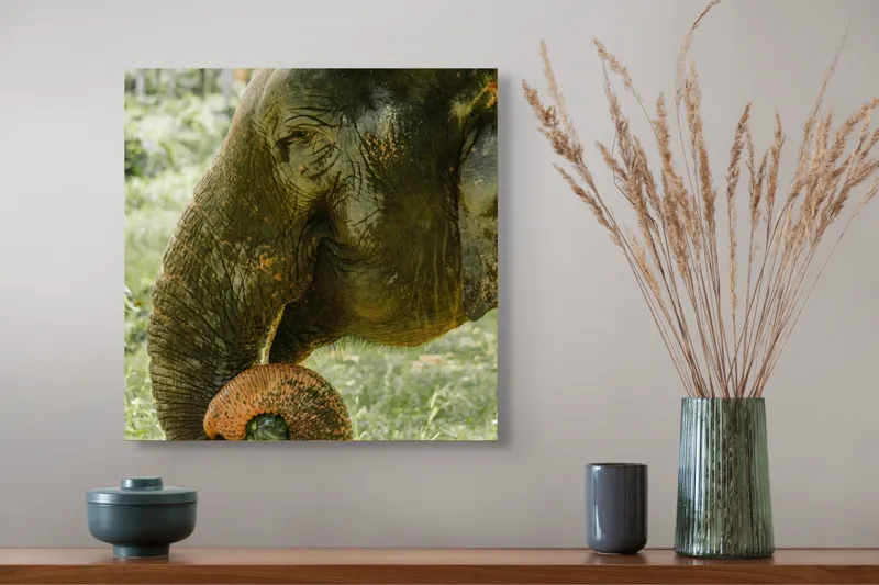 Tablou Canvas, "Elefantul în pădurea tropicală verde", 50 x 50 cm – poza 4