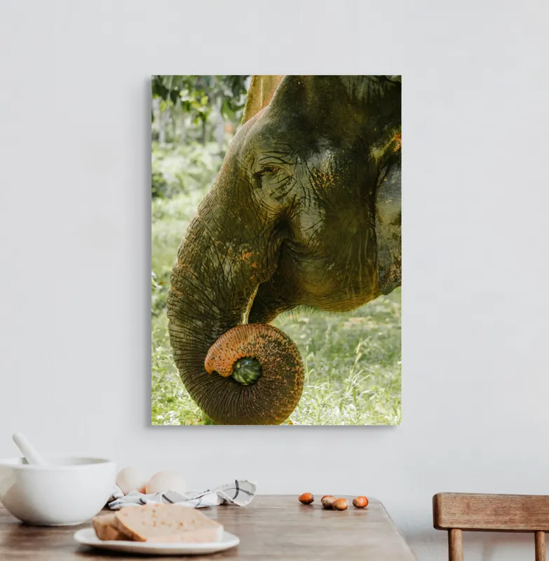 Tablou Canvas, "Elefantul în pădurea tropicală verde", Nu pot identifica cine este în imagine., 50 x 70 cm – poza 3
