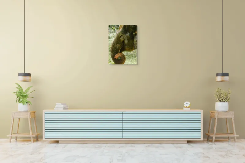 Tablou Canvas, "Elefantul în pădurea tropicală verde", Nu pot identifica cine este în imagine., 50 x 70 cm – poza 6
