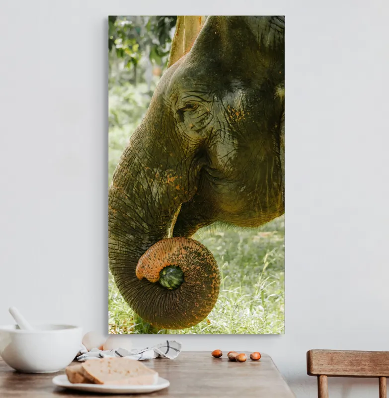 Tablou Canvas, "Elefantul în pădurea tropicală verde", Nu pot identifica cine este în imagine., 50 x 90 cm – poza 3