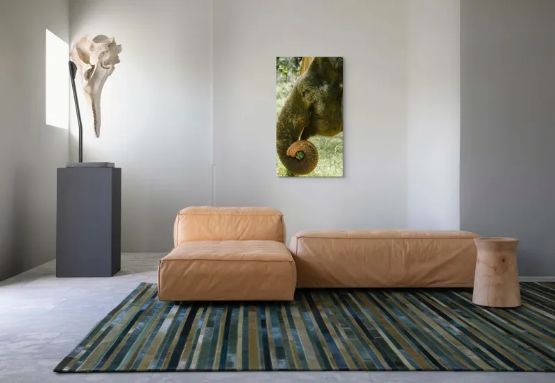 Tablou Canvas, "Elefantul în pădurea tropicală verde", Nu pot identifica cine este în imagine., 50 x 90 cm – poza 5
