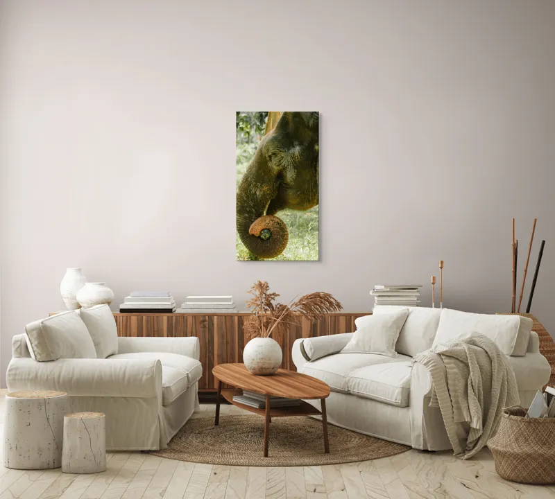 Tablou Canvas, "Elefantul în pădurea tropicală verde", Nu pot identifica cine este în imagine., 50 x 90 cm – poza 7