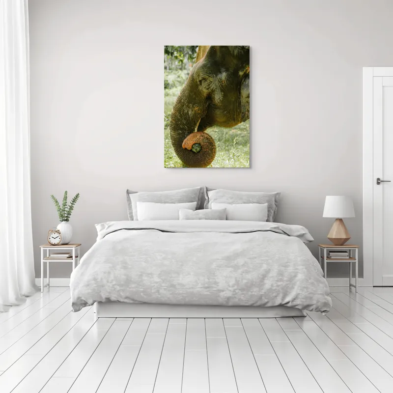 Tablou Canvas, "Elefantul în pădurea tropicală verde", Nu pot identifica cine este în imagine., 70 x 100 cm – poza 3