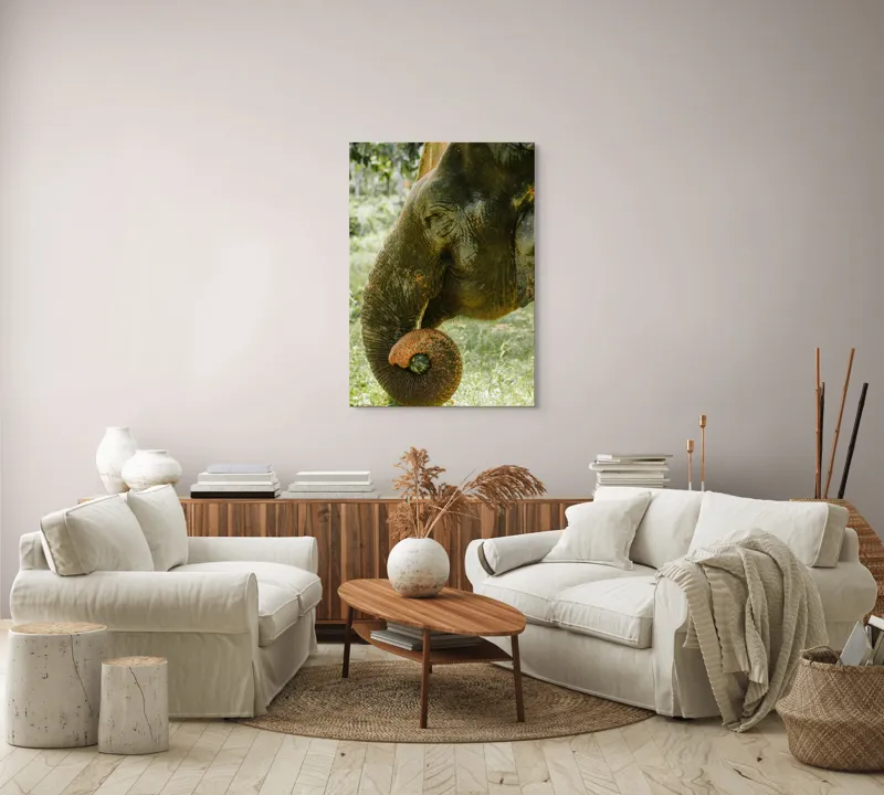 Tablou Canvas, "Elefantul în pădurea tropicală verde", Nu pot identifica cine este în imagine., 70 x 100 cm – poza 4