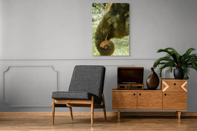 Tablou Canvas, "Elefantul în pădurea tropicală verde", Nu pot identifica cine este în imagine., 70 x 100 cm – poza 6