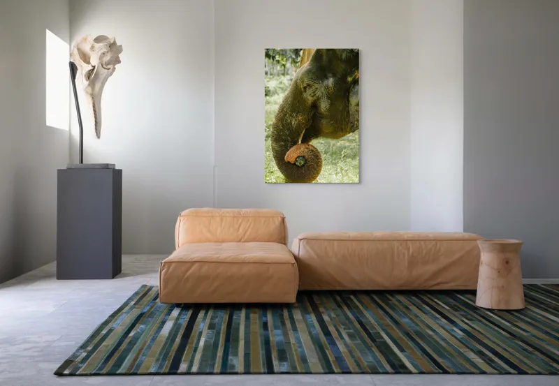 Tablou Canvas, "Elefantul în pădurea tropicală verde", Nu pot identifica cine este în imagine., 70 x 100 cm – poza 7