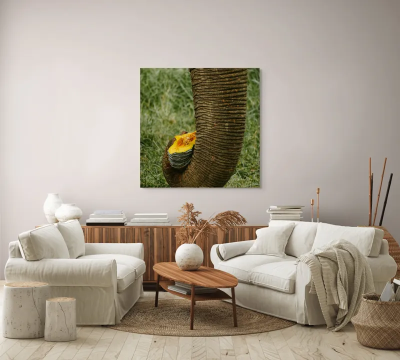 Tablou Canvas, "Trunchiul de elefant cu gust de dovleac", I don't know who this is., 100 x 100 cm – poza 3