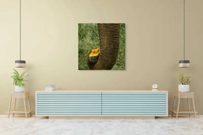 Tablou Canvas, "Trunchiul de elefant cu gust de dovleac", I don't know who this is., 100 x 100 cm – poza 5