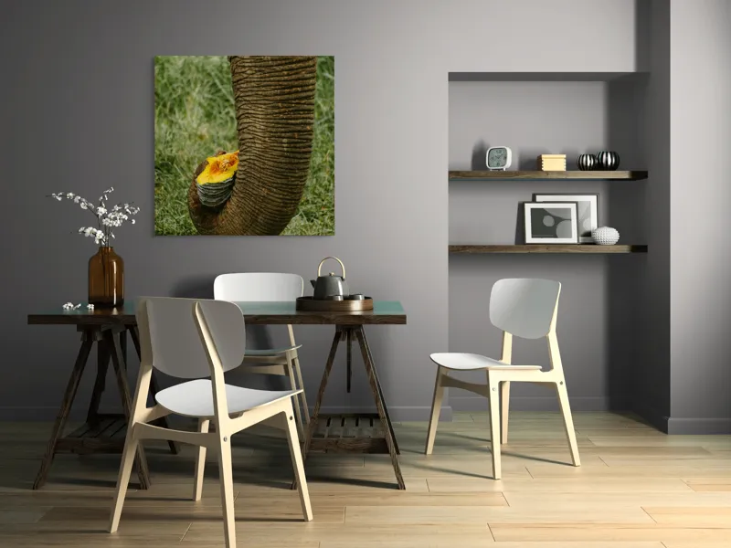 Tablou Canvas, "Trunchiul de elefant cu gust de dovleac", I don't know who this is., 100 x 100 cm – poza 6