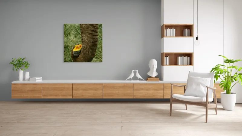 Tablou Canvas, "Trunchiul de elefant cu gust de dovleac", I don't know who this is., 100 x 100 cm – poza 8