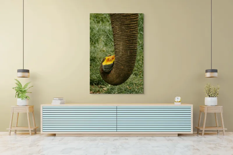 Tablou Canvas, "Trunchiul de elefant cu gust de dovleac", I don't know who this is., 100 x 150 cm – poza 4