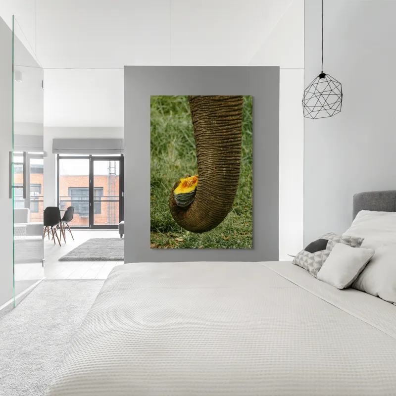 Tablou Canvas, "Trunchiul de elefant cu gust de dovleac", I don't know who this is., 100 x 150 cm – poza 5
