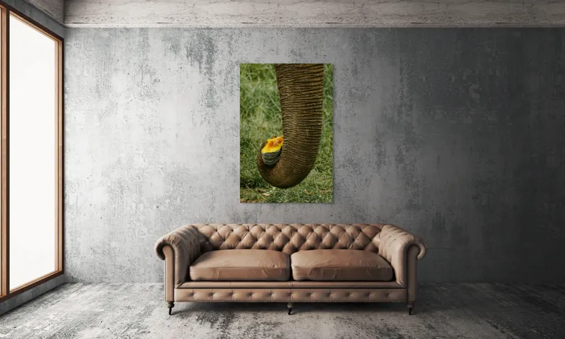 Tablou Canvas, "Trunchiul de elefant cu gust de dovleac", I don't know who this is., 100 x 150 cm – poza 6