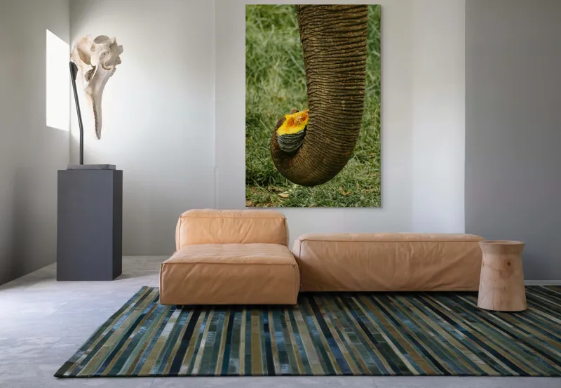 Tablou Canvas, "Trunchiul de elefant cu gust de dovleac", I don't know who this is., 100 x 150 cm – poza 7