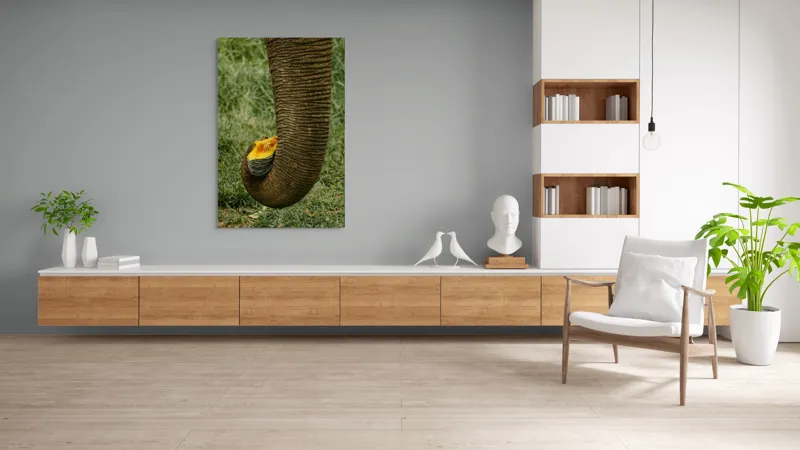Tablou Canvas, "Trunchiul de elefant cu gust de dovleac", I don't know who this is., 100 x 150 cm – poza 8