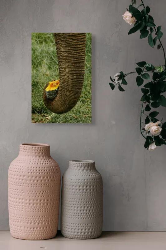 Tablou Canvas, "Trunchiul de elefant cu gust de dovleac", I don't know who this is., 26 x 39 cm – poza 6