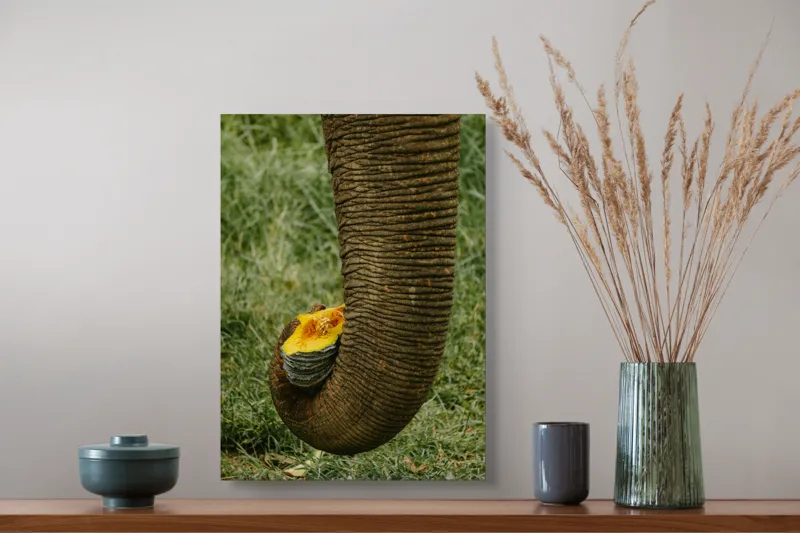 Tablou Canvas, "Trunchiul de elefant cu gust de dovleac", I don't know who this is., 39 x 54 cm – poza 3