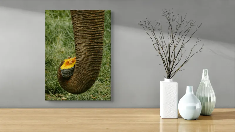 Tablou Canvas, "Trunchiul de elefant cu gust de dovleac", I don't know who this is., 39 x 54 cm – poza 4