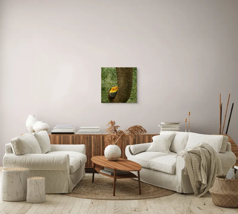 Tablou Canvas, "Trunchiul de elefant cu gust de dovleac", I don't know who this is., 50 x 50 cm – poza 7