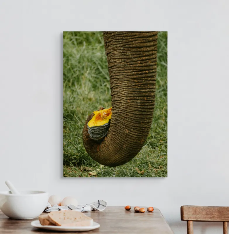 Tablou Canvas, "Trunchiul de elefant cu gust de dovleac", I don't know who this is., 50 x 70 cm – poza 3