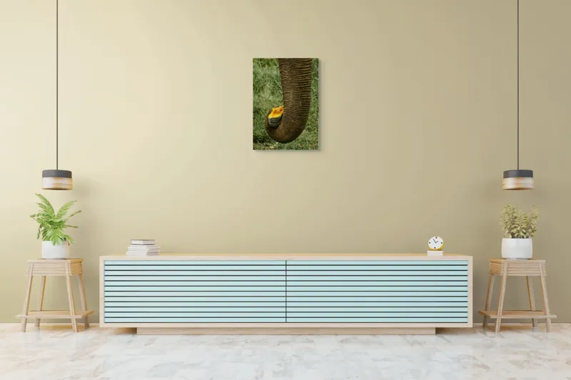 Tablou Canvas, "Trunchiul de elefant cu gust de dovleac", I don't know who this is., 50 x 70 cm – poza 6
