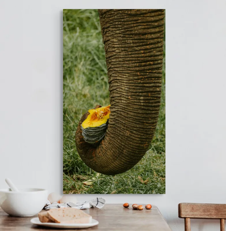 Tablou Canvas, "Trunchiul de elefant cu gust de dovleac", I don't know who this is., 50 x 90 cm – poza 3