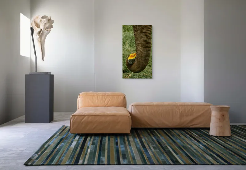 Tablou Canvas, "Trunchiul de elefant cu gust de dovleac", I don't know who this is., 50 x 90 cm – poza 5