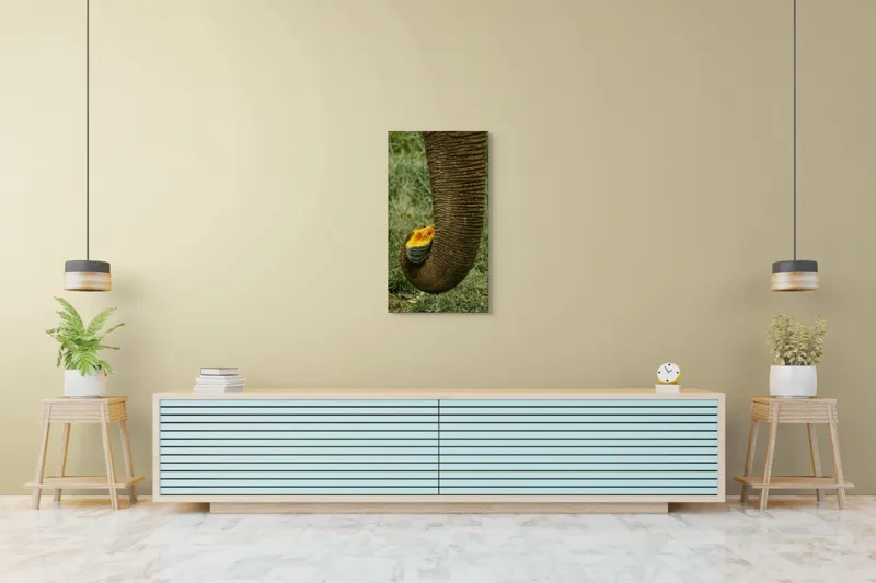 Tablou Canvas, "Trunchiul de elefant cu gust de dovleac", I don't know who this is., 50 x 90 cm – poza 6