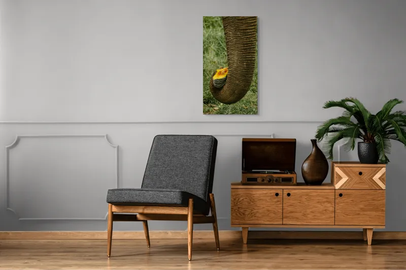 Tablou Canvas, "Trunchiul de elefant cu gust de dovleac", I don't know who this is., 50 x 90 cm – poza 8