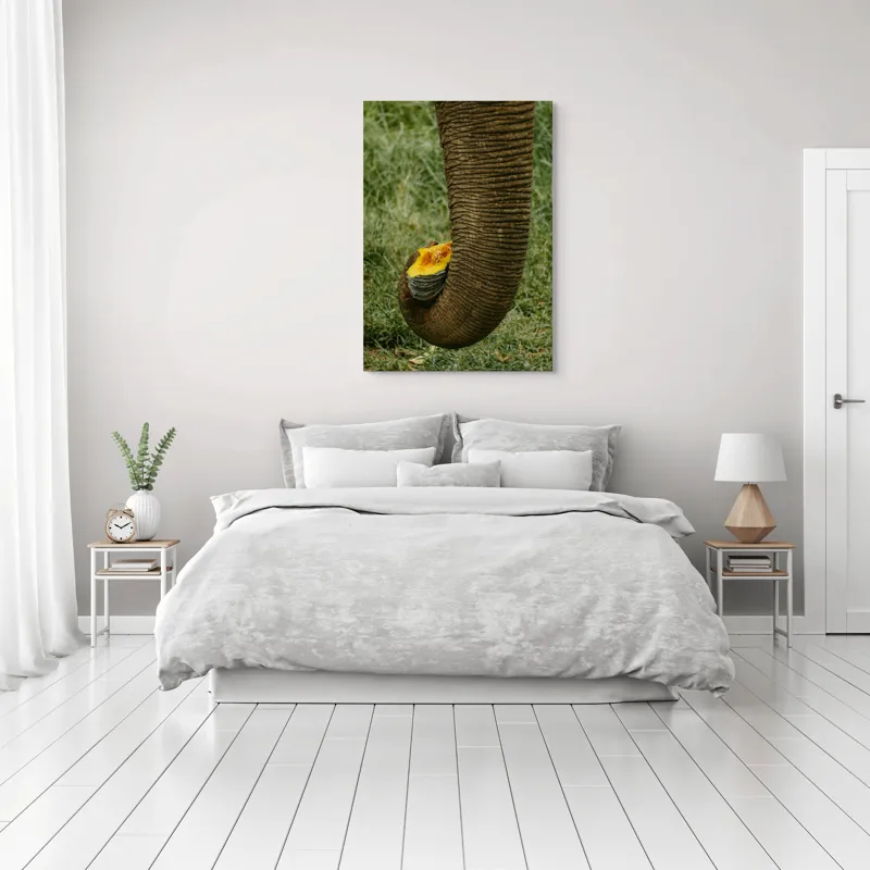 Tablou Canvas, "Trunchiul de elefant cu gust de dovleac", I don't know who this is., 70 x 100 cm – poza 3