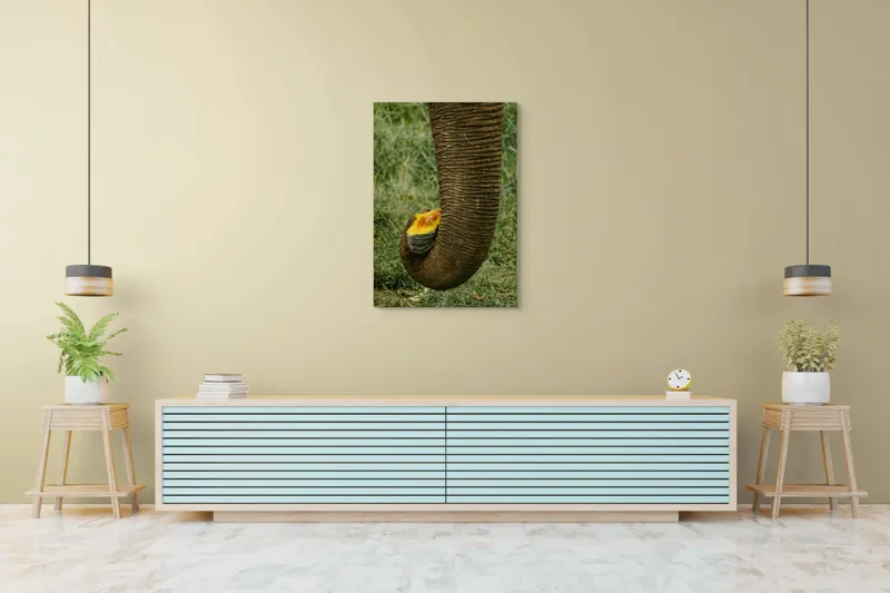 Tablou Canvas, "Trunchiul de elefant cu gust de dovleac", I don't know who this is., 70 x 100 cm – poza 5