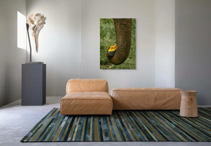 Tablou Canvas, "Trunchiul de elefant cu gust de dovleac", I don't know who this is., 70 x 100 cm – poza 7