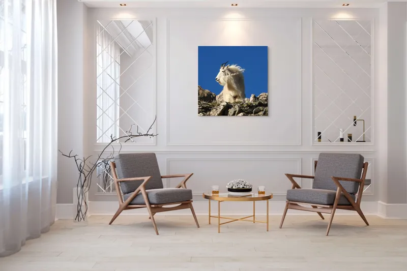 Tablou Canvas, "Capra de munte în adierea vântului", Capră, Alpină, Stânci, Cer, Albastru, Maiestate, Blană, Vânt, Sălbatică, Natură, 100 x 100 cm – poza 7